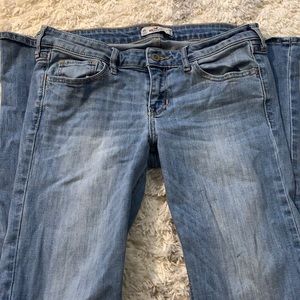 Hollister Boot Cut